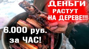 КАК ЗАРАБОТАТЬ НА СЕРЕ ОТ 6000р. ЗА ЧАС!!!