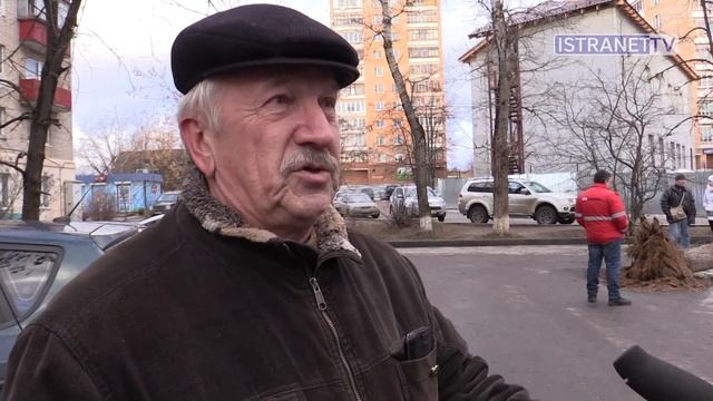 Упавшее дерево повредило три машины