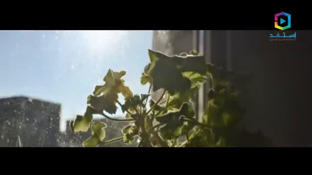 أشربوا شاي عشبة العطرة إذا كنتم تعانون من هذه الأمراض و المشاكل الصحية !