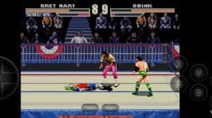 Реслинг сега