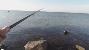 Сарган на Азовском море. Первая попытка ловли. Бердянск 04 10 2020