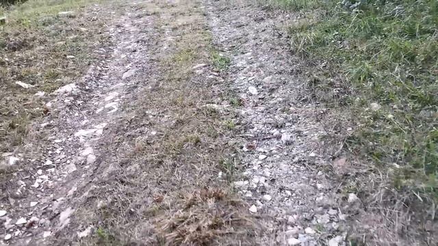 ?ЭКОЛОГИЯ В СОЧИ 2019 ? / ПОЧЕМУ ЛЮДИ ПЕРЕЕЗЖАЮТ В СОЧИ? / ОБЗОР МОЕГО УЧАСТКА смотреть онлайн