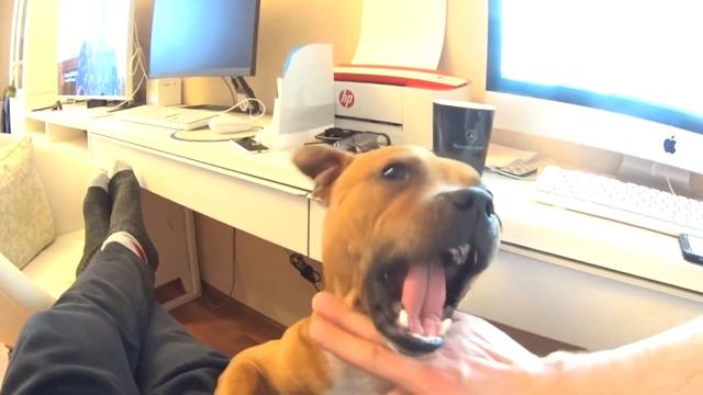 Майк Стаффи смотреть онлайн