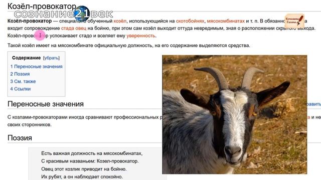 Вперёд в СССР! Зерна от плевел.3 часть.Волшебные формулы. смотреть онлайн