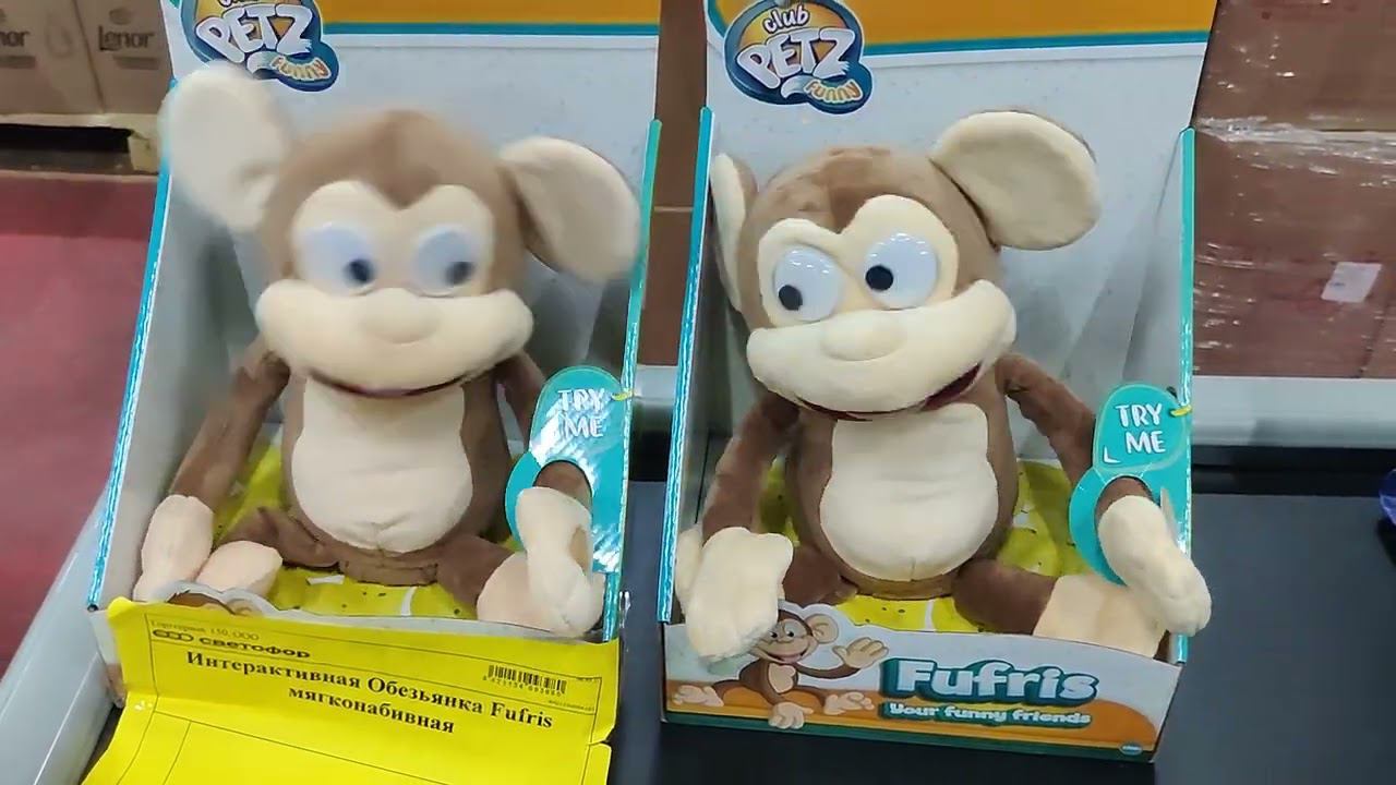 Безумные обезьянки. Развлекательное видео смотреть на рутуб