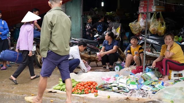 Harvesting Snail Goes to the market sell | Cooking - Lý Thị Ca смотреть онлайн