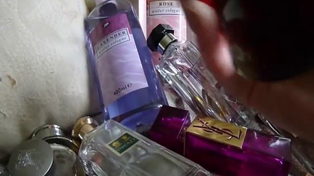 Perfume Collection | ThatGallowayGirl смотреть онлайн