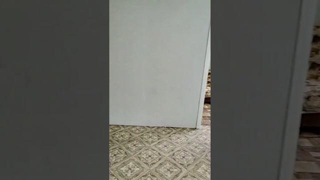 МО _г. Сергиев Посад_ ул. Толстого 1Б смотреть онлайн