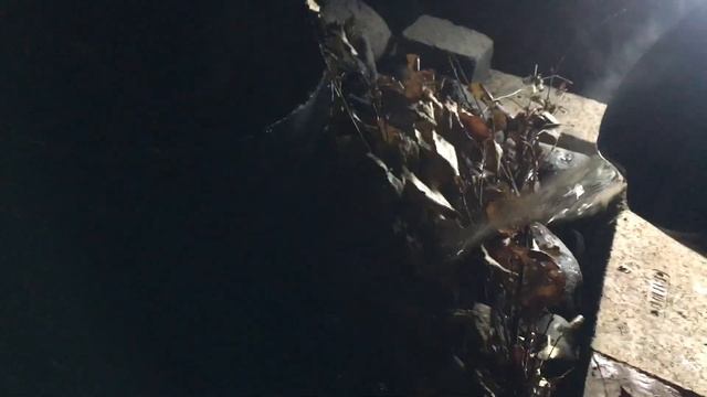 ? Банька по черному в Латвии для здоровья смотреть онлайн