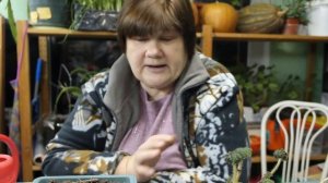 Бегония: основы успешного ухода.