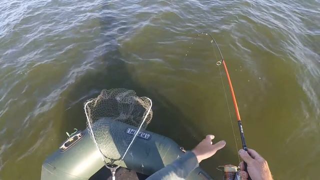 Сом на спиннинг!!! Вот это рыбалка!!!!! смотреть онлайн