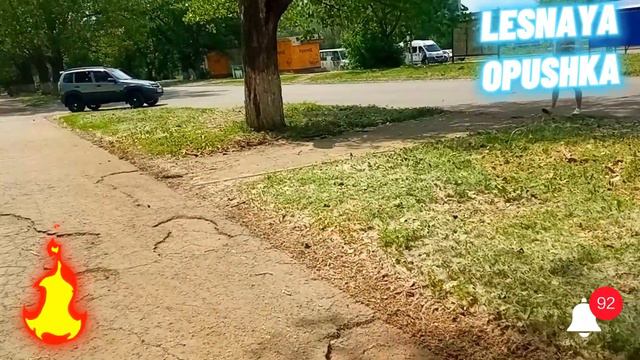 Предложение -от которого нельзя отказаться смотреть онлайн