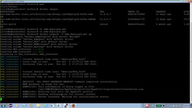 IBM InfoSphere Master Data Management v11.6 FP 7 on Docker смотреть онлайн