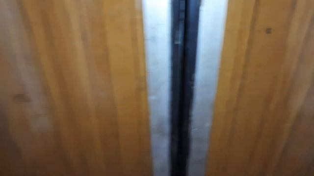 Обоссаный лифт МЛЗ 320 кг 0,71 м/с, если нажать на 4 этаж то лифт поедет на 9 этаж смотреть онлайн