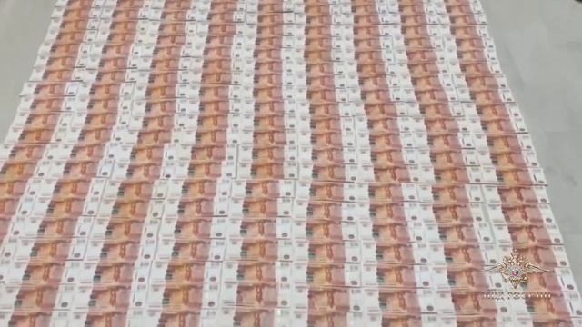 Ирина Волк: В Москве сотрудники полиции задержали подозреваемых в сбыте сильнодействующих веществ смотреть онлайн