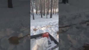 Охота в Тюмени. съездили в лес пополнили кормушки. в лесу кайф. мороз минус 30. #тайга #лес #охота.