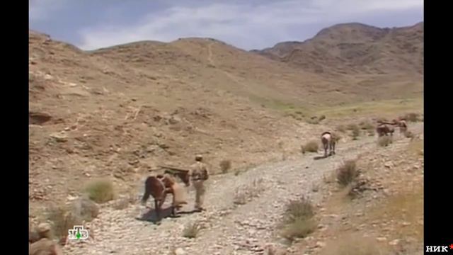 Сергей Гвоздика - Из огня да в полымя. смотреть онлайн