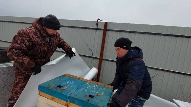 Утепление ульев с пчёлами в зиму. смотреть онлайн