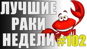 ЛРН выпуск №102. ДИЧЬ В ПРЯМОМ ЭФИРЕ и #КОРАБЛЬДОБРА [Лучшие Раки Недели]