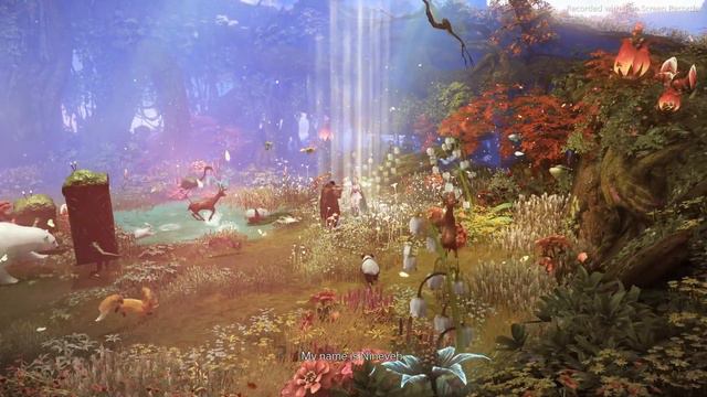 Lost Ark Windhaven Garden gameplay ita ep 79 смотреть онлайн