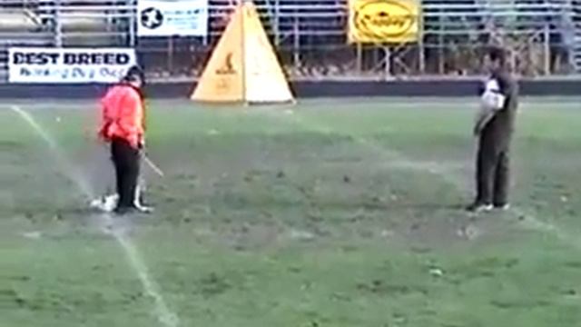 Защита с джек-рассел терьером смотреть онлайн