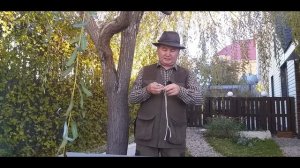 Как отучить собаку от ненужного лая, воя, скуления в вольере.