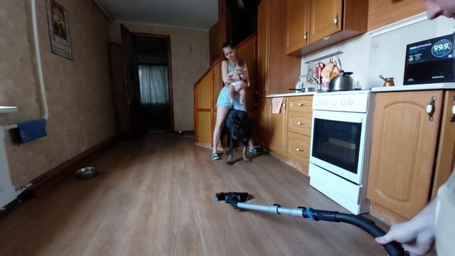 Собака охраняет ребенка и маму. смотреть онлайн