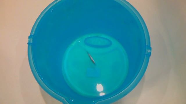 Плюшка.    Sukkozero@inbox.ru.mp4