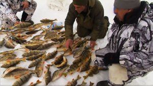 С полем!: «Окунь с большой буквы «О»