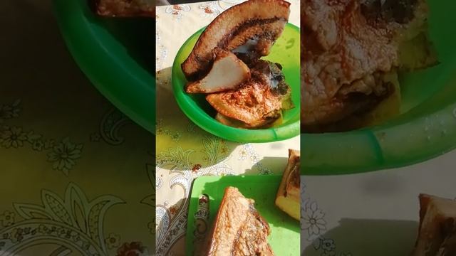 Домашнее разведение свиней