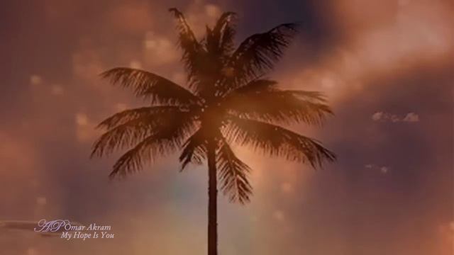 ♥ OMAR AKRAM - My Hope Is You ♥ Echoes Of Love ♥ смотреть онлайн