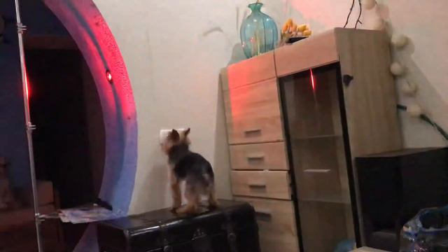 Мартик может включать и выключать свет в любой комнате смотреть онлайн