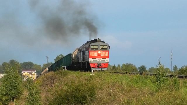 2ТЭ116-1560 с грузовым поездом следует через о.п. 239 км смотреть онлайн
