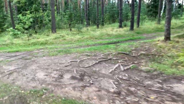 Велопутешествие в заповедник смотреть онлайн