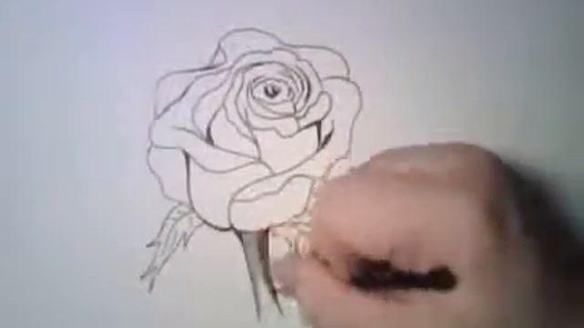 How to draw rose-Как рисовать красивая роза-Ինչպես նկարել գեղեցիկ վարդ смотреть онлайн