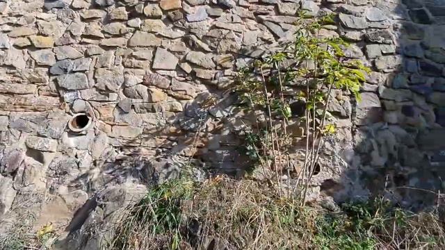 ДРЕВНЯЯ ГЕРМАНИЯ + музыка ЦИФЕI Музыкальная Империя смотреть онлайн