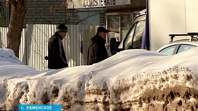 Бродячие собаки