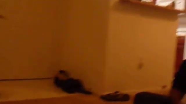 Halafo'ou in Las Vegas смотреть онлайн