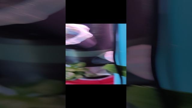 первые плоды гидропоники.mp4 смотреть онлайн