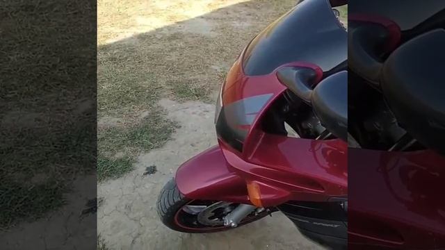 Post_10000000_1038882183585426_6225119957947424825_n(0).mp4