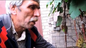 Виноград Коринка Русская