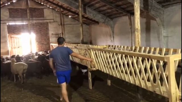 ПРОВОДИМ СВЕТ В АНГАР И СПАСАЕМ УТЕНКА СМОТРЕТЬ ДО КОНЦА смотреть онлайн