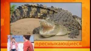 Служба спасения домашнего задания. Выпуск 19.