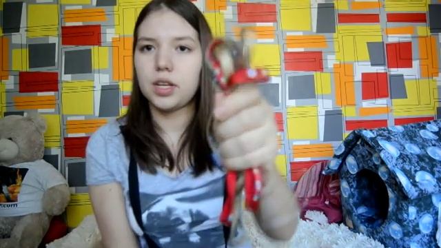 Все самое необходимое для щеночка =3 (Чихуахуа) смотреть онлайн