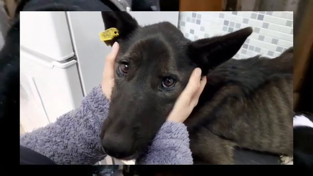 "Сандру лично" СЕКРЕТНЫЕ функции YouTube!!! Только для Друзей на нашем канале!!! смотреть онлайн