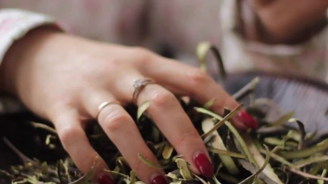 Порошок из коры осины