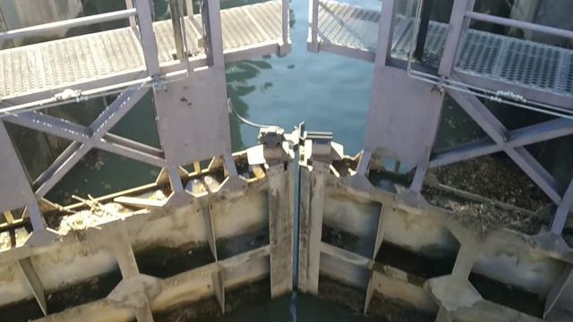 Викенд во французском городке Narbonne смотреть онлайн