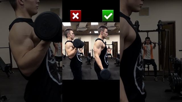 Подъём гантелей на бицепс смотреть онлайн