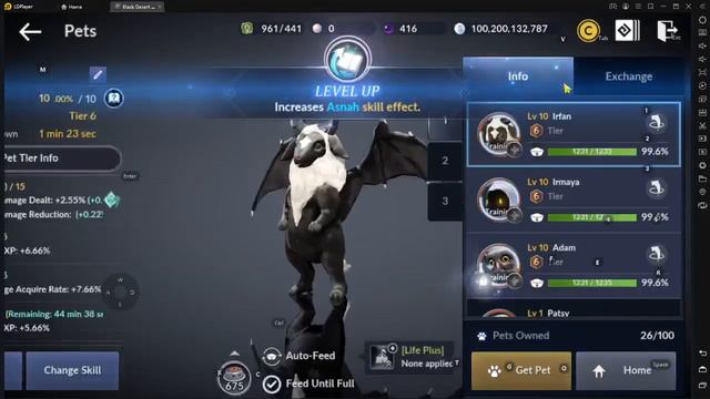 Phantasma build Black Desert Mobile смотреть онлайн