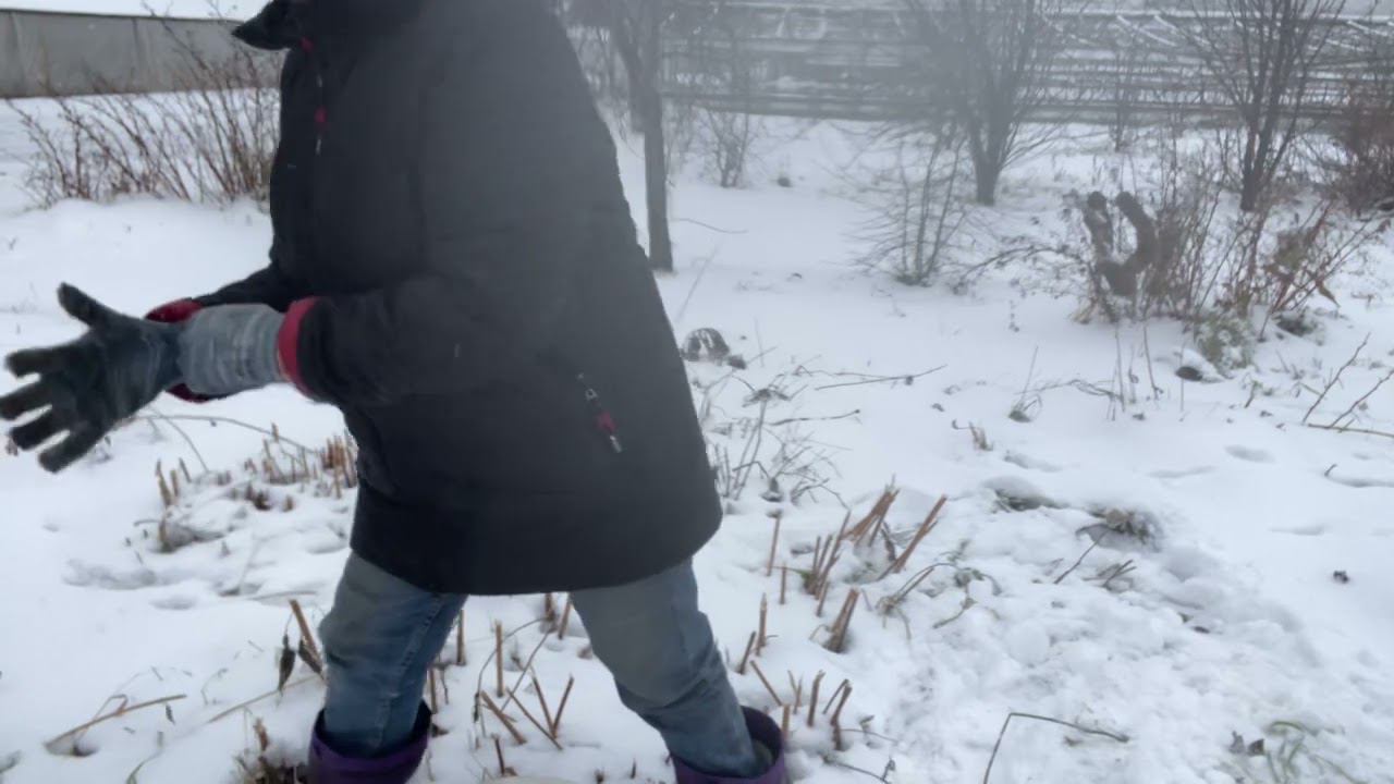 Убираем урожай из под снега. Топинамбур. смотреть онлайн